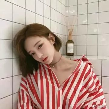 我的新野蛮女友