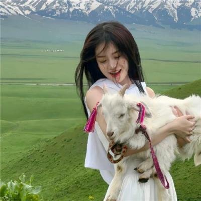 我的心里住着一只猫